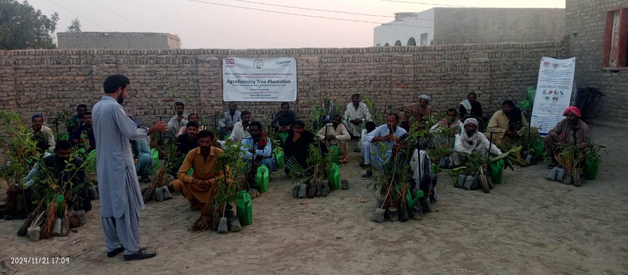 WhatsApp Image 2024-11-27 at 18.21.51_4950d976