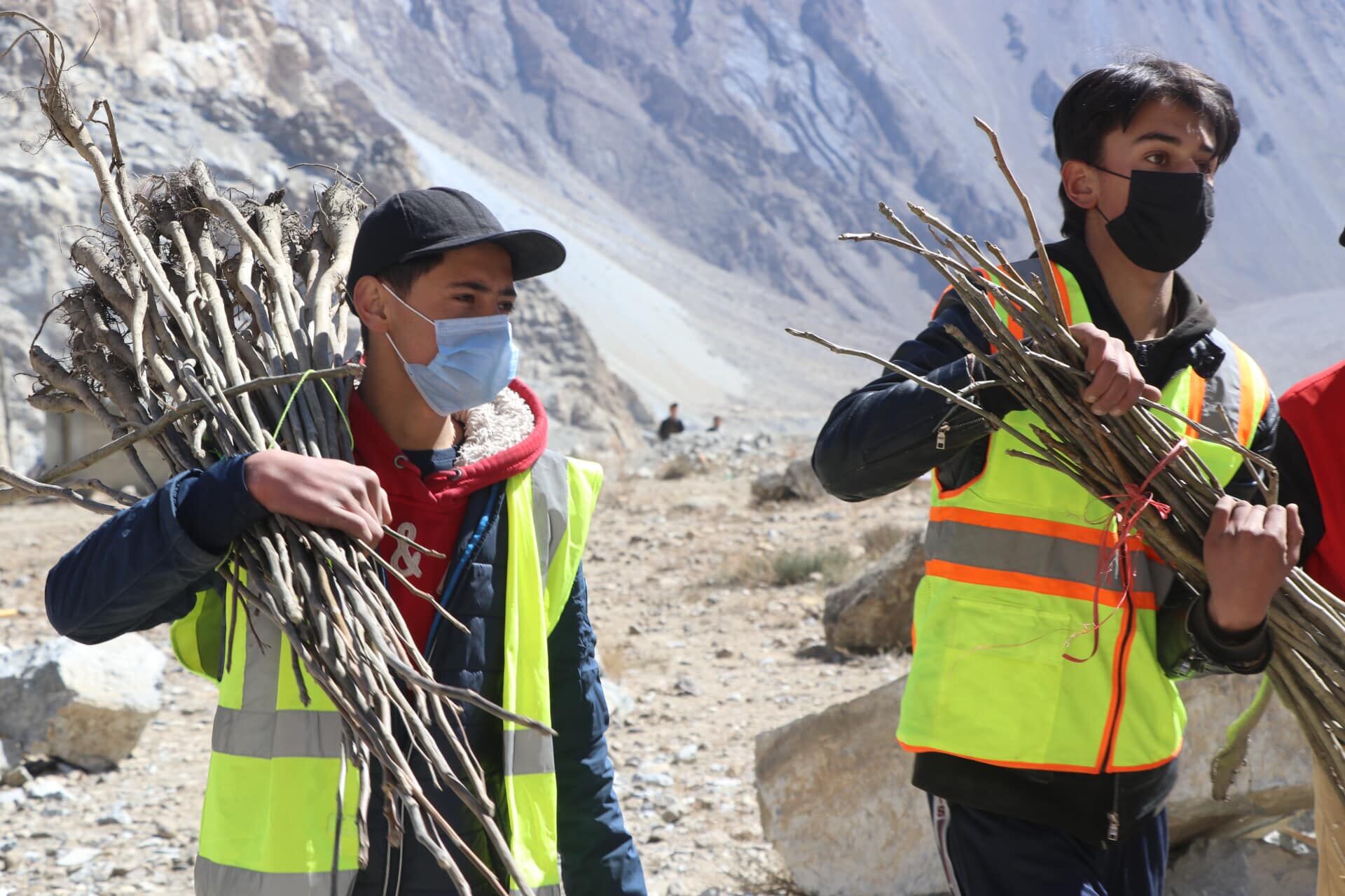 YANG-Plantation Drive